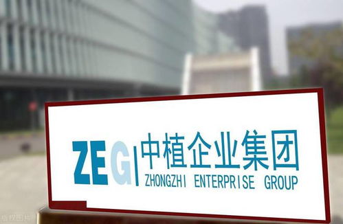 中植系暴雷啟示錄 底層資產(chǎn)的真相遠(yuǎn)比“虛幻承諾”更重要